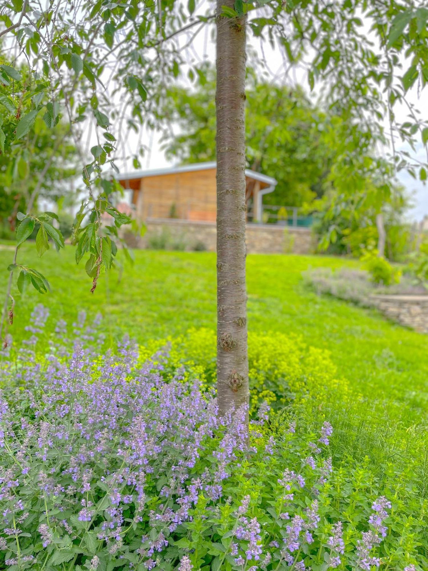 Slunečný Penzion - snídaňový penzion Tasovice Exterior foto